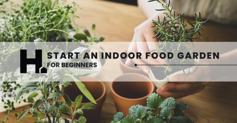 How to Start an Indoor Food Garden (for Beginners)